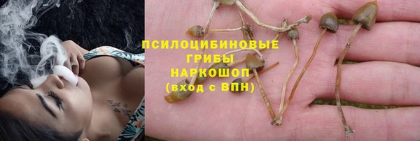 каннабис Абинск