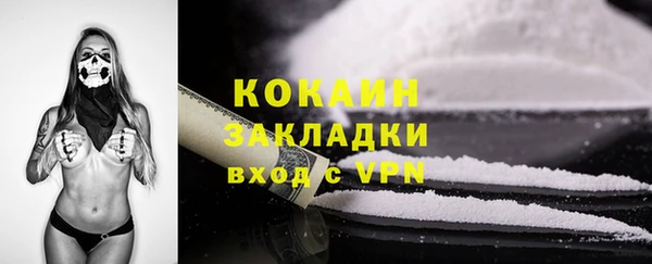 mdpv Снежинск