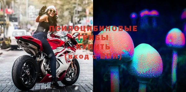 соль ск Абдулино