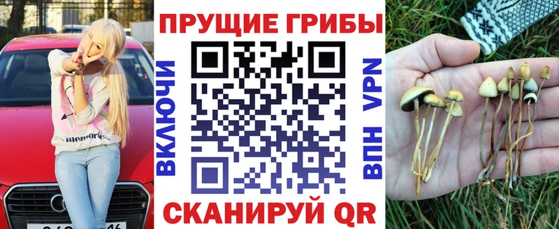 Псилоцибиновые грибы Psilocybine cubensis  Донецк 